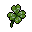  four-leaf clover